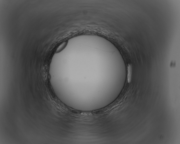 X0000091701491200708240921