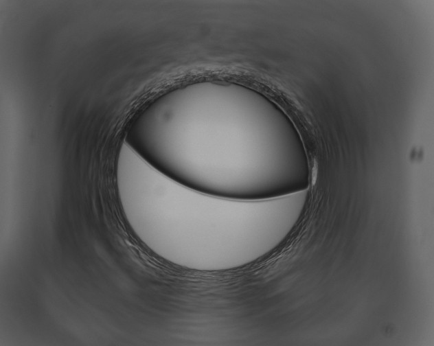 X0000091701492200708240921