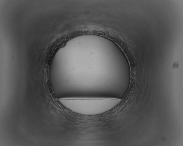 X0000091701493200708240921