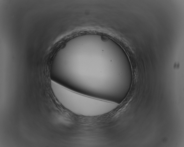 X0000091701494200708240921