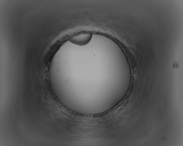 X0000091701495200708240921