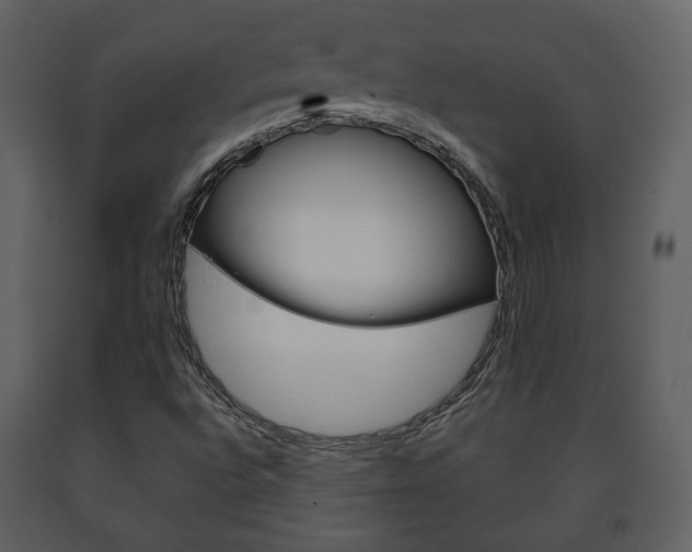 X0000091701496200708240921