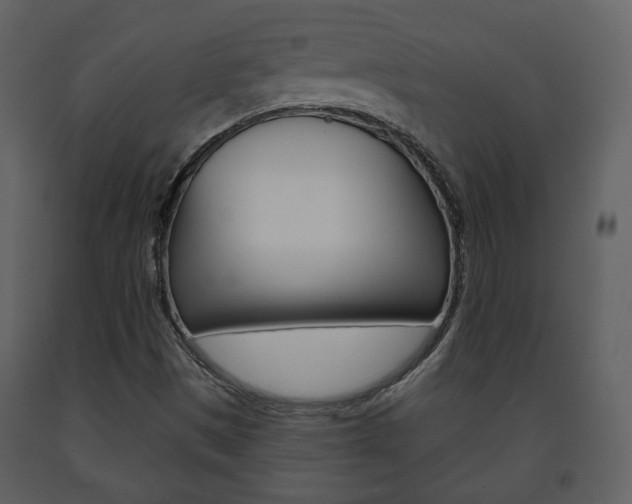 X0000091701497200708240921