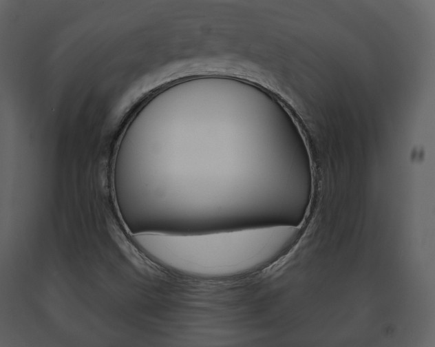X0000091701499200708240921