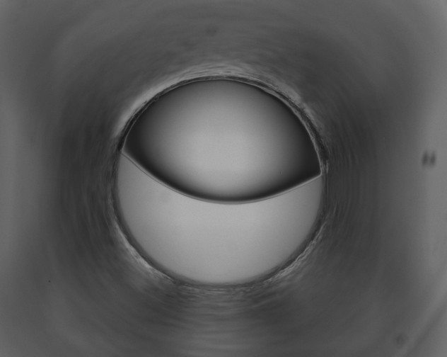 X0000091701500200708240921