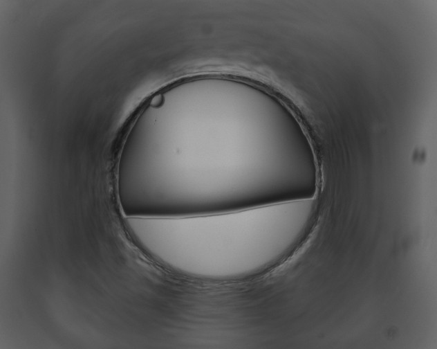 X0000091701501200708240921