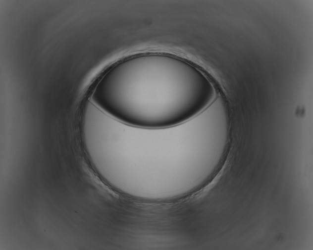 X0000091701502200708240921
