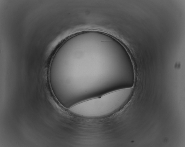X0000091701503200708240921