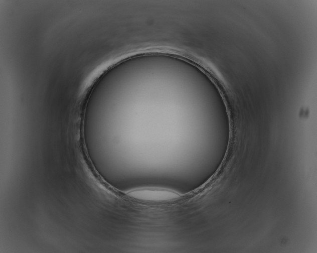 X0000091701504200708240921