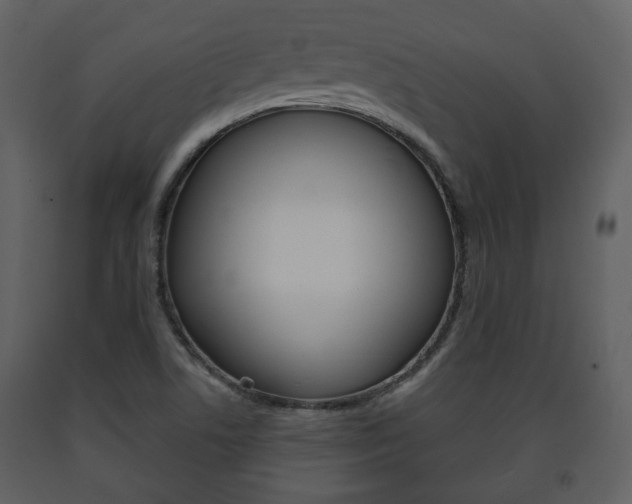 X0000091701506200708240921