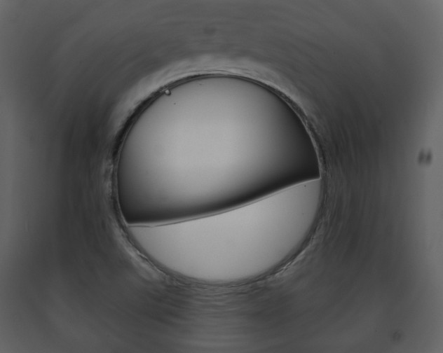 X0000091701507200708240921