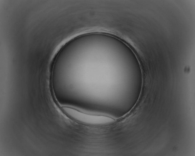 X0000091701508200708240921