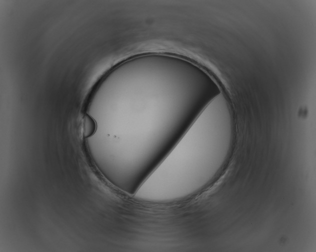X0000091701509200708240921