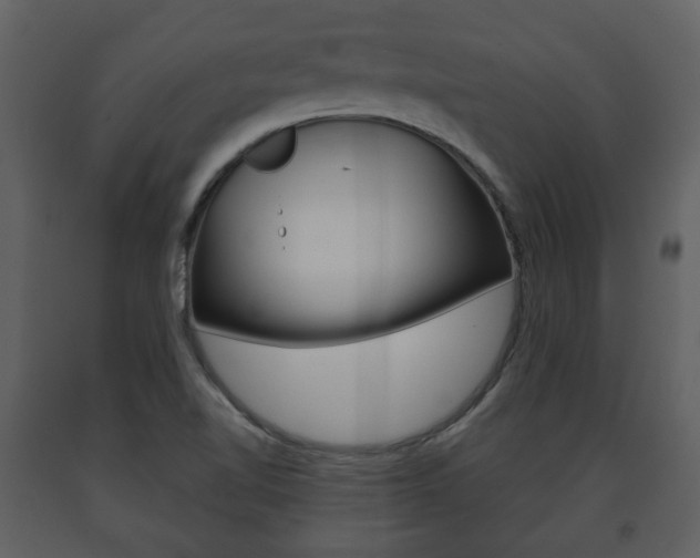 X0000091701510200708240921