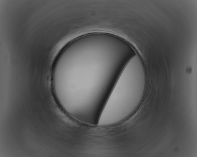 X0000091701511200708240921