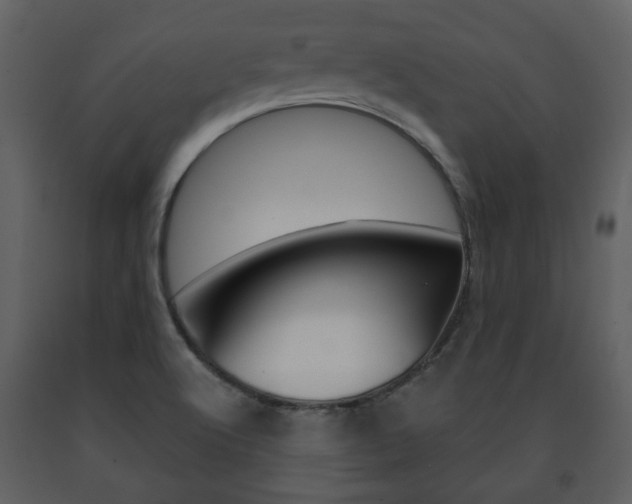 X0000091701512200708240921