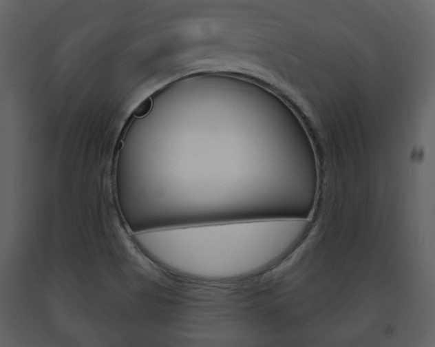 X0000091701513200708240921