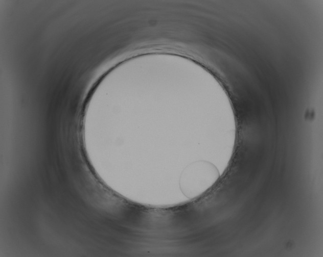 X0000091701514200708240921