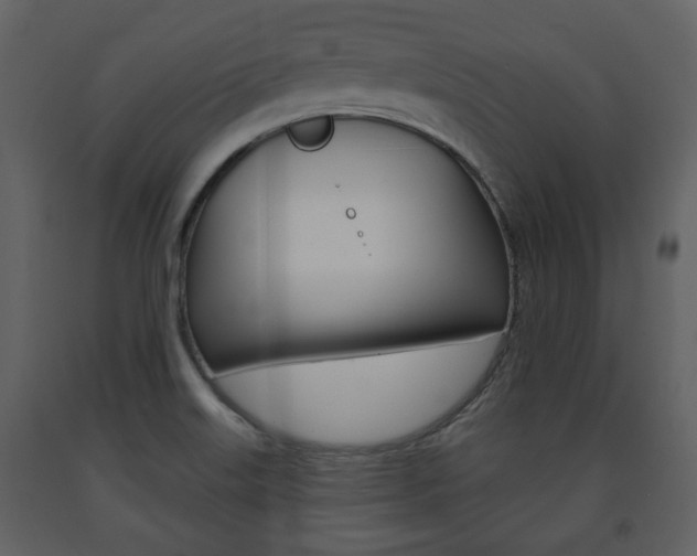 X0000091701515200708240921