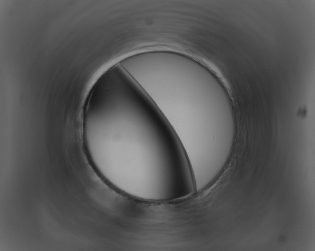X0000091701516200708240921