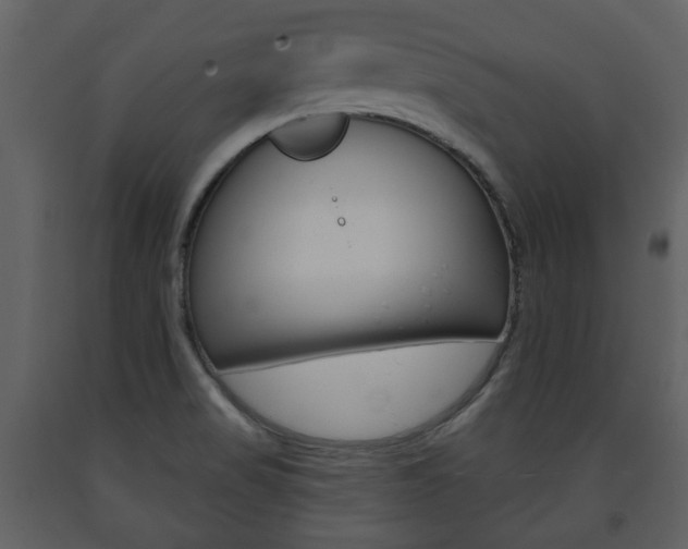 X0000091701517200708240921