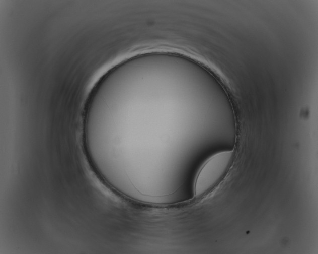 X0000091701518200708240921