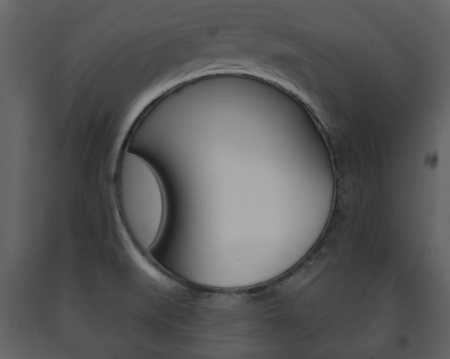 X0000091701519200708240921