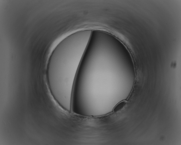X0000091701520200708240921