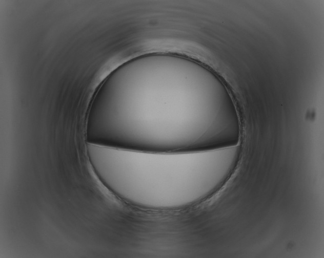 X0000091701521200708240921