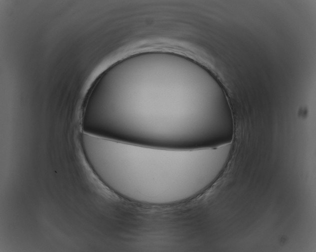X0000091701522200708240921
