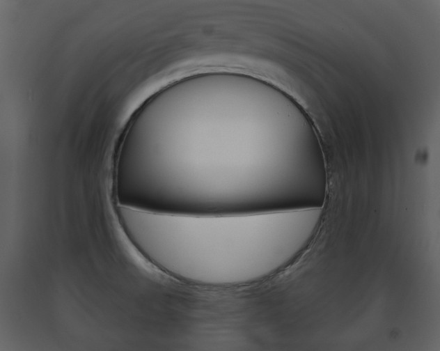 X0000091701523200708240921