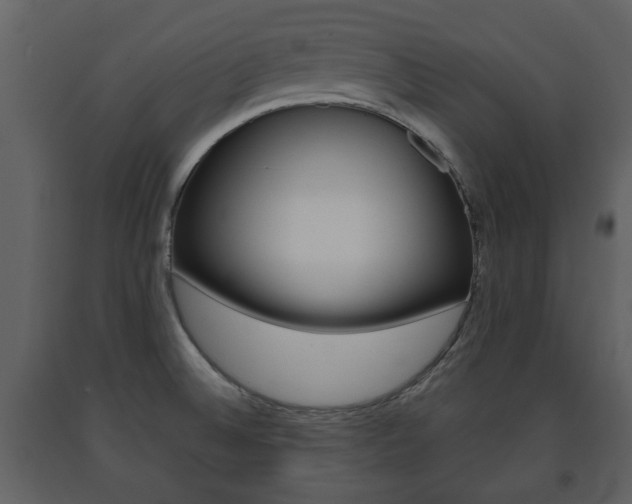 X0000091701524200708240921