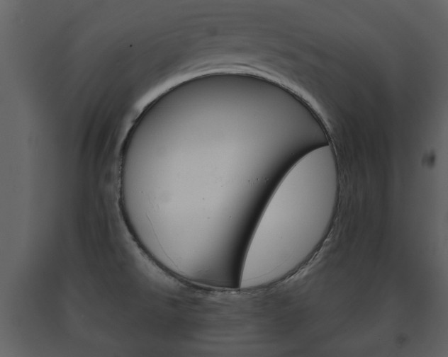 X0000091701526200708240921