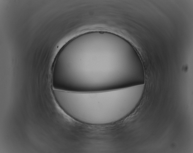 X0000091701527200708240921