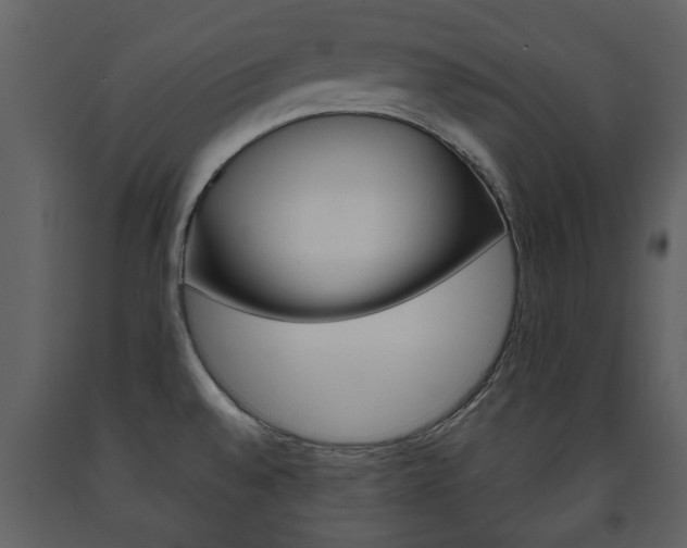 X0000091701528200708240921