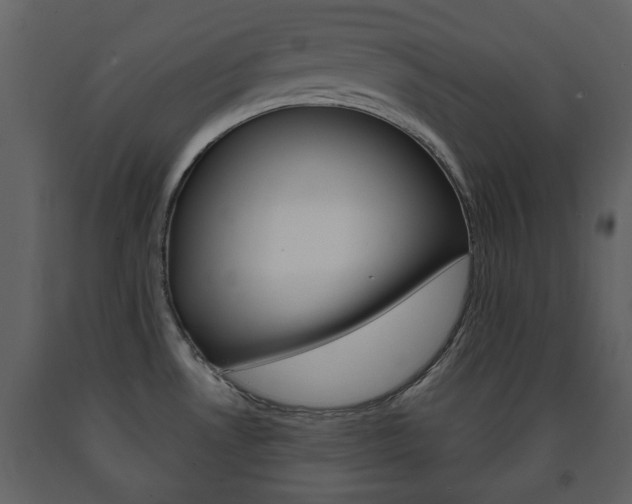 X0000091701530200708240921