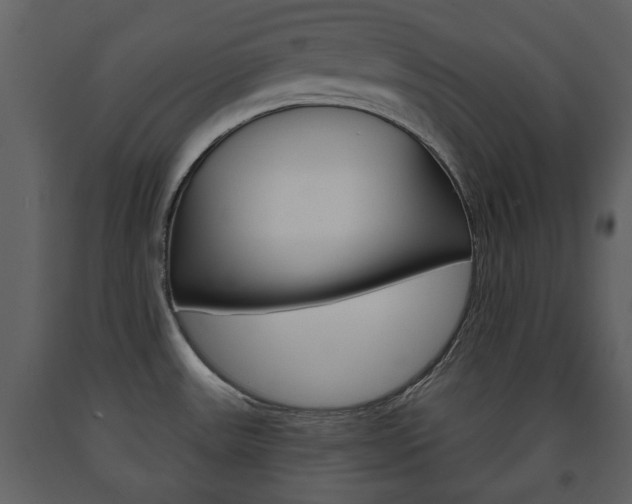 X0000091701531200708240921
