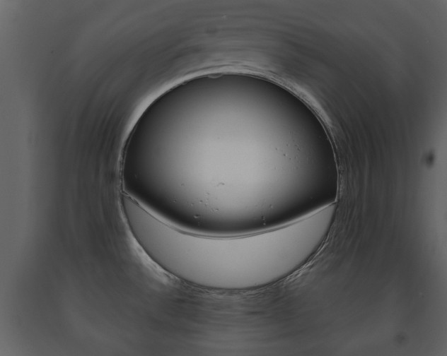 X0000091701532200708240921