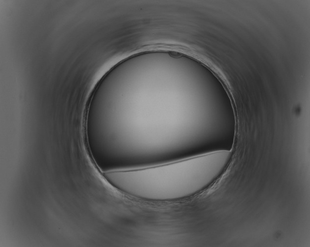 X0000091701533200708240921
