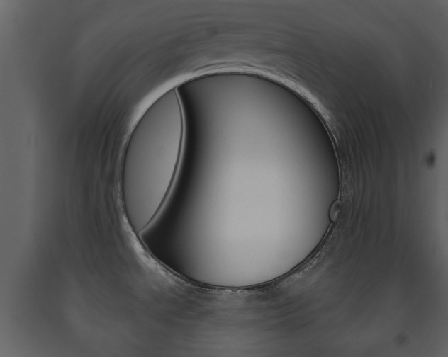 X0000091701534200708240921