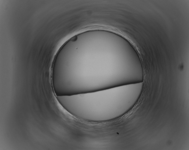 X0000091701535200708240921