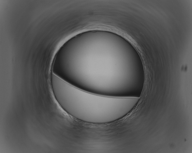 X0000091701536200708240921
