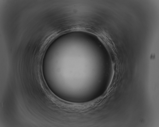 X0000091700001200708241234