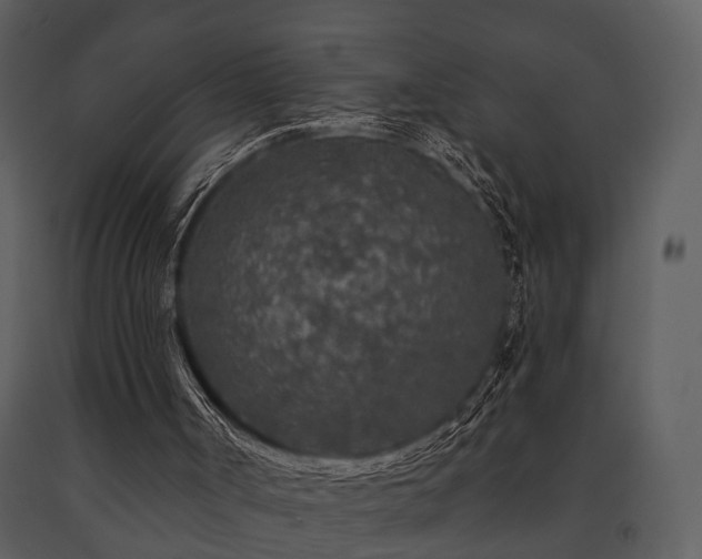 X0000091700002200708241234