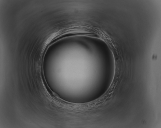 X0000091700003200708241234