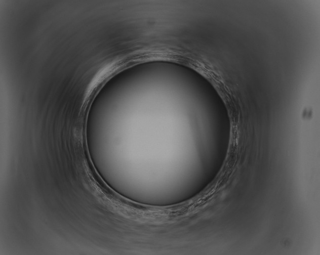 X0000091700004200708241234