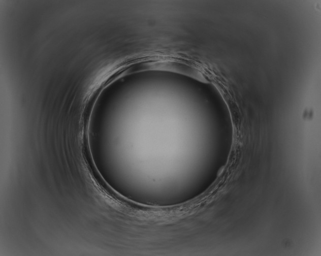 X0000091700005200708241234