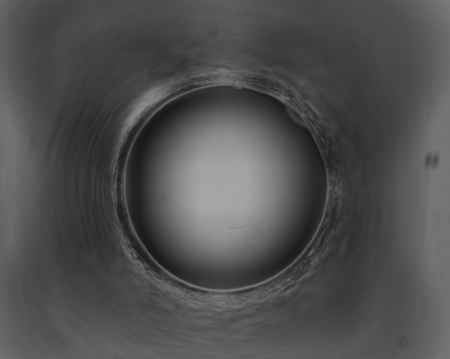 X0000091700006200708241234