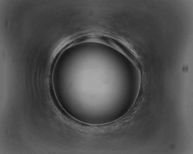 X0000091700007200708241234