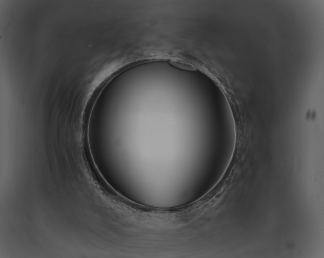 X0000091700008200708241234
